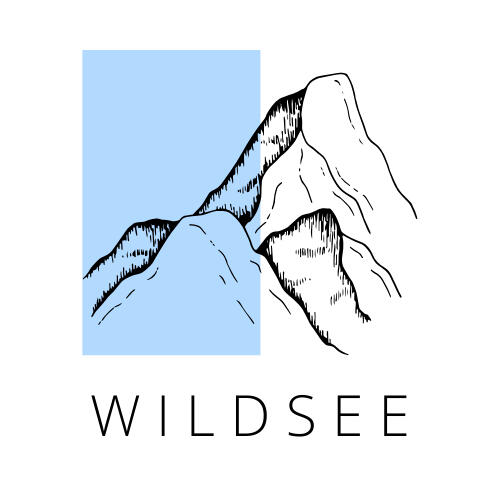 Wildsee AG Logo